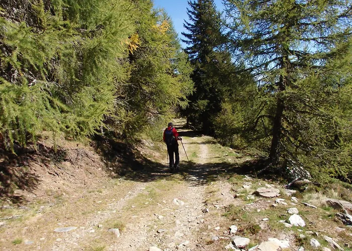 Casa Sauschneider Dom wakacyjny Sankt Ruprecht ob Murau